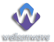 Wellson Hi-tech Limited